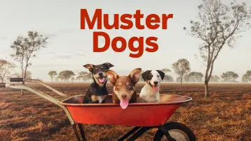 Задник к сериалу "Muster Dogs" #1609056