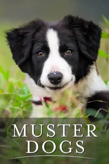 Muster Dogs постер