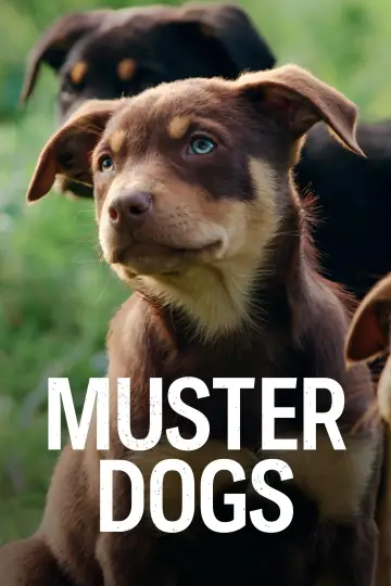 Постер к сериалу "Muster Dogs" #1609062