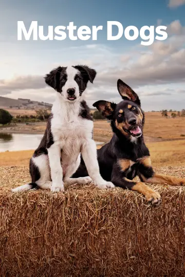 Постер к сериалу "Muster Dogs" #1609064