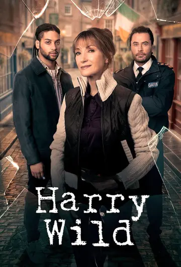Постер к сериалу "Гарри Уайлд" #1401866