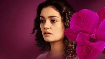 Задник к сериалу "Todas as Flores" #1663672