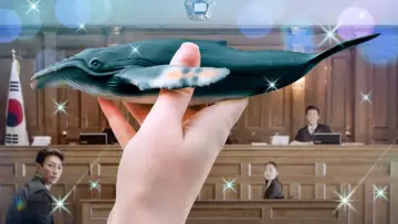 Задник к сериалу "Необычный адвокат У Ён У" #1364614