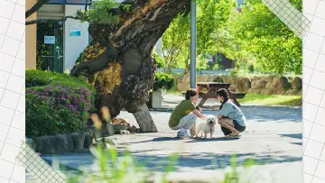 Задник к сериалу "Я не хочу ничего делать" #1604870