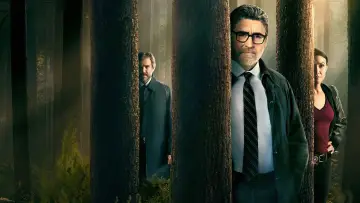 Задник к сериалу "Три сосны" #1592852