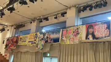 Задник к сериалу "Tokyo Joshi Pro-Wrestling" #1316741