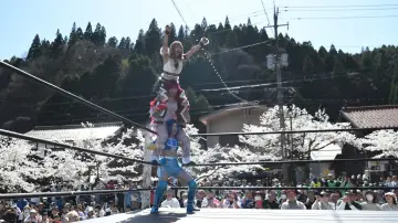 Задник к сериалу "Tokyo Joshi Pro-Wrestling" #1316750