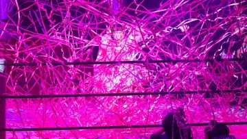 Задник к сериалу "東京女子プロレス" #1841067