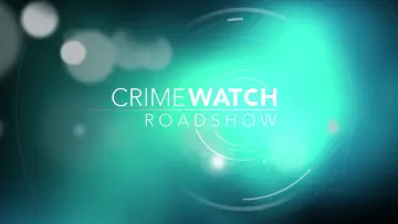 Задник к сериалу "Криминальный дозор: Прямой эфир" #1349198