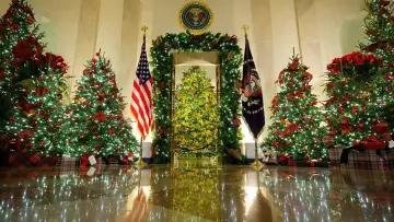 Задник к сериалу "White House Christmas" #1558718