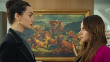 Задник к сериалу "Полет птицы" #1424269