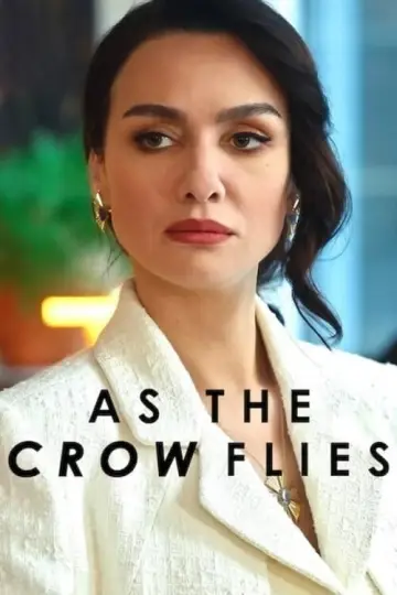 Постер к сериалу "Полет птицы" #1424284