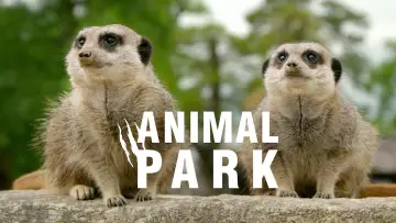 Задник к сериалу "Animal Park" #1342979