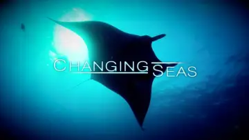 Задник к сериалу "Changing Seas" #1398008