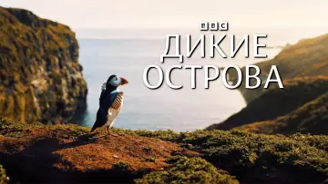 Задник к сериалу "Wild Isles" #1847536
