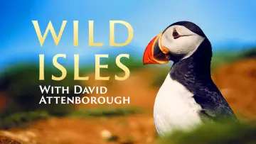 Задник к сериалу "Wild Isles" #1847537