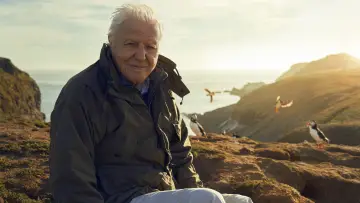 Задник к сериалу "Wild Isles" #1847539