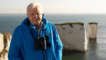 Задник к сериалу "Wild Isles" #1847545