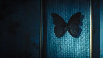 Задник к сериалу "Чёрные бабочки" #1556018