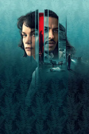Постер к сериалу "Женщина в стене" #1817119