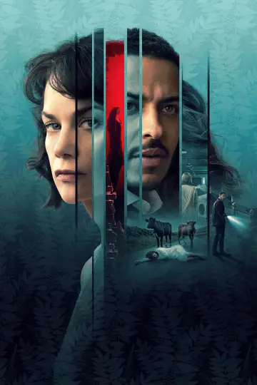 Постер к сериалу "Женщина в стене" #1817124