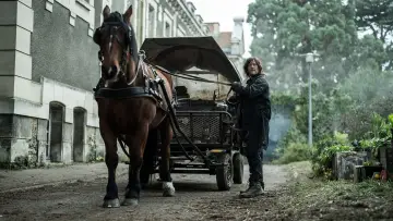 Задник к сериалу "Ходячие мертвецы: Дэрил Диксон" #1325512