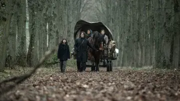 Задник к сериалу "Ходячие мертвецы: Дэрил Диксон" #1325534