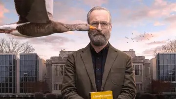 Задник к сериалу "Счастливчик Хэнк" #1854220