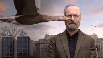 Задник к сериалу "Счастливчик Хэнк" #1854228