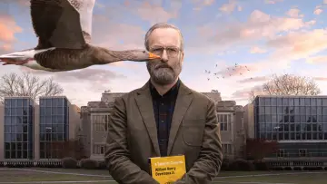 Задник к сериалу "Счастливчик Хэнк" #1854234