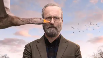 Задник к сериалу "Счастливчик Хэнк" #1854249