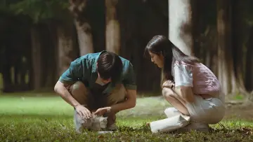 Задник к сериалу "Мерцающий арбуз" #1388392
