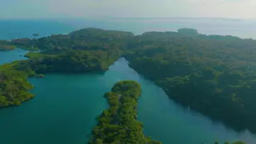 Survivor Québec постер