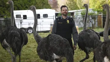 Задник к сериалу "Animal Control" #1357905
