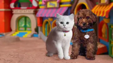 Задник к сериалу "Mittens & Pants" #1434732