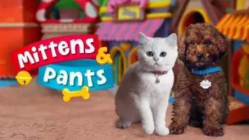 Задник к сериалу "Mittens & Pants" #1434733