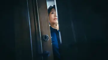 Задник к сериалу "Если в лесу падает дерево" #1483079