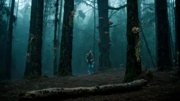 Задник к сериалу "Грифон" #1865765