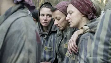 Задник к сериалу "Татуировщик из Освенцима" #1849916