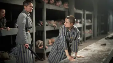 Задник к сериалу "Татуировщик из Освенцима" #1849921
