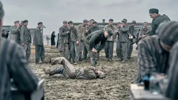 Задник к сериалу "Татуировщик из Освенцима" #1849922