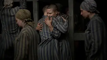 Задник к сериалу "Татуировщик из Освенцима" #1849927