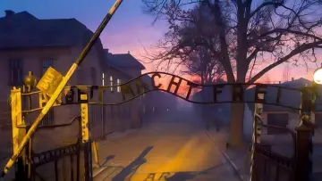 Задник к сериалу "Татуировщик из Освенцима" #1849928