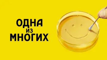 Задник к сериалу "Одна из многих" #1301489