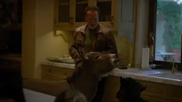Задник к сериалу "Арнольд" #1459420