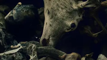 Задник к сериалу "Одербрух" #1492461