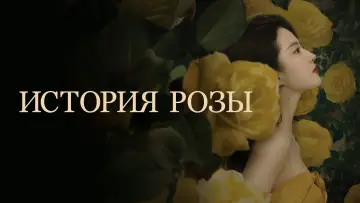 Задник к сериалу "История Розы" #1546438