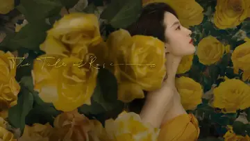Задник к сериалу "История Розы" #1546439