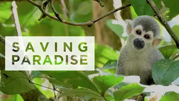 Задник к сериалу "Merveilles de la nature" #1601705