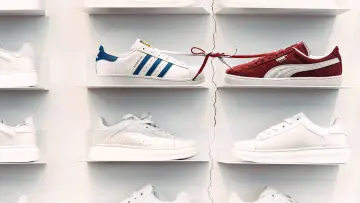 Задник к сериалу "Sneaker Wars: Adidas V. Puma" #1434672